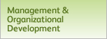 Management and Organizational Development